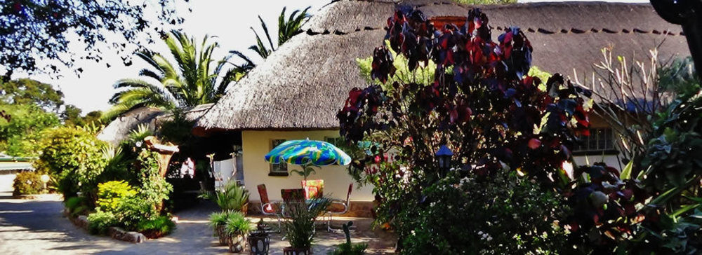 Parrot Lodge Bulawayo Ngoại thất bức ảnh